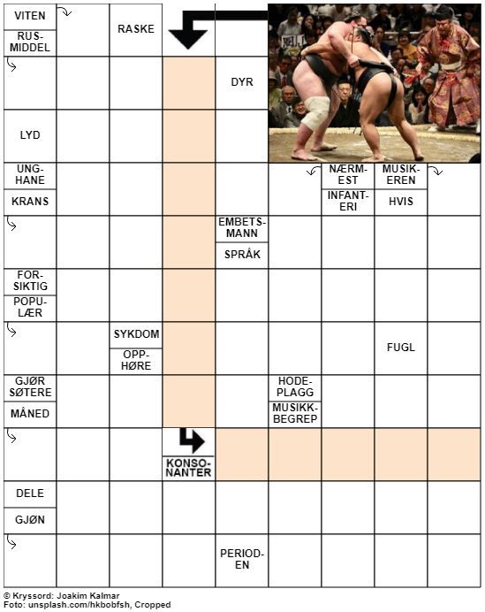 Dagens kryssord – 28. Mars - 2020