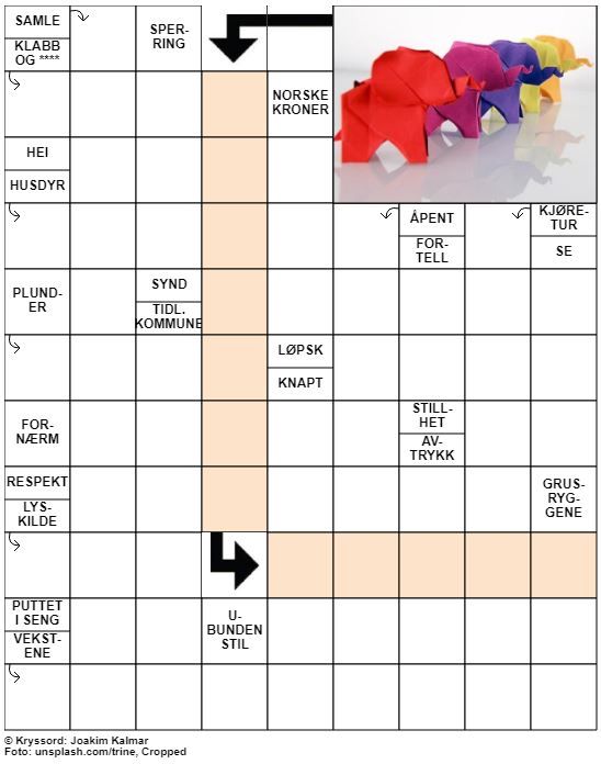 Dagens kryssord – 30. Mars - 2020