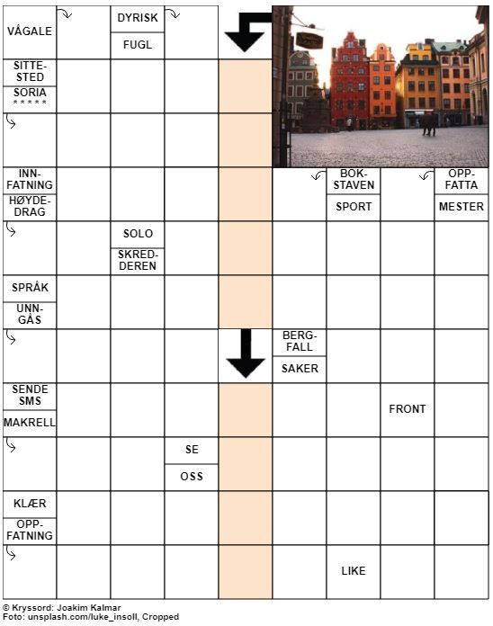 Dagens kryssord – 31. Mars - 2020