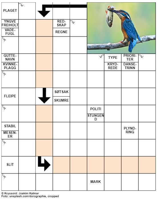 Dagens kryssord – 1. Mai - 2020