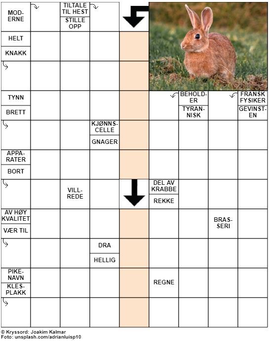 Dagens kryssord – 6. April - 2020