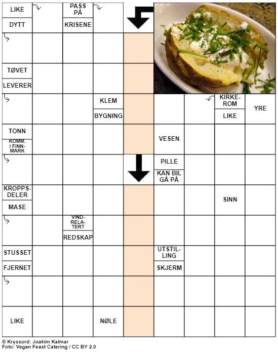 Dagens kryssord – 17. April - 2020