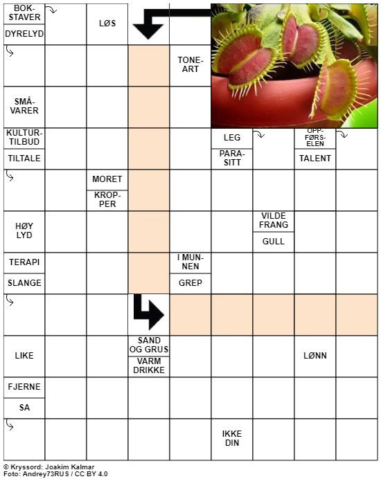 Dagens kryssord – 19. April - 2020