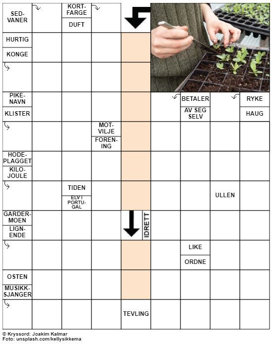 Dagens kryssord – 23. April - 2020