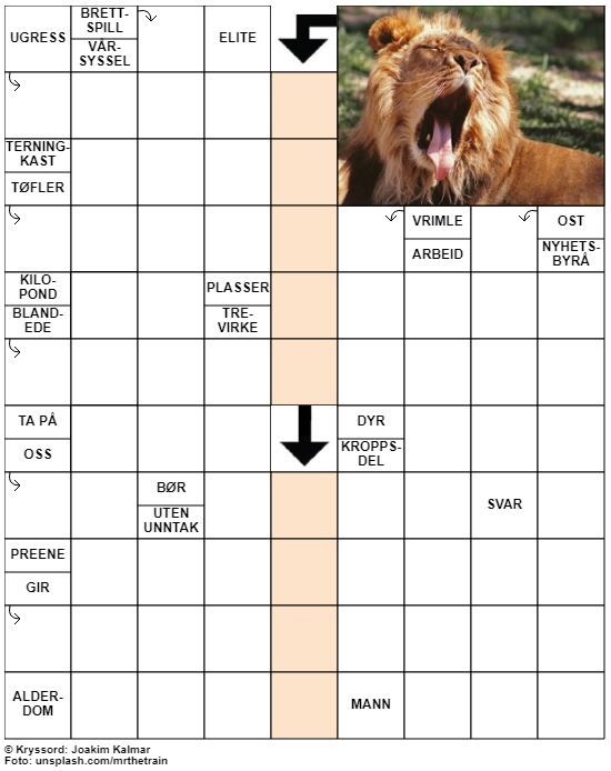 Dagens kryssord – 27. April - 2020