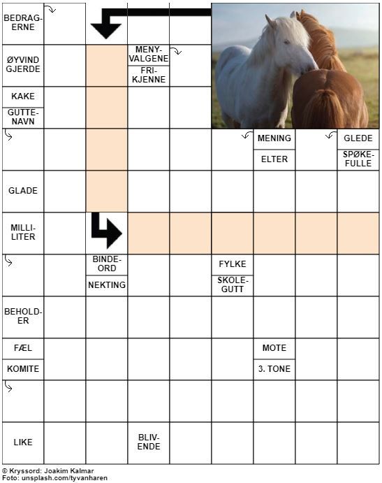 Dagens kryssord – 29. April - 2020