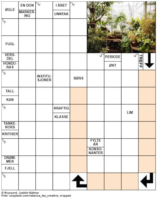 Dagens kryssord – 30. April - 2020