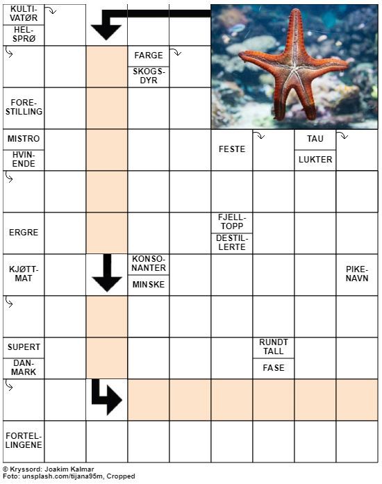 Dagens kryssord – 1. Juni- 2020