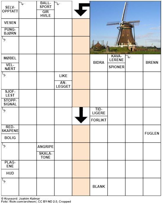 Dagens kryssord – 3. Mai - 2020