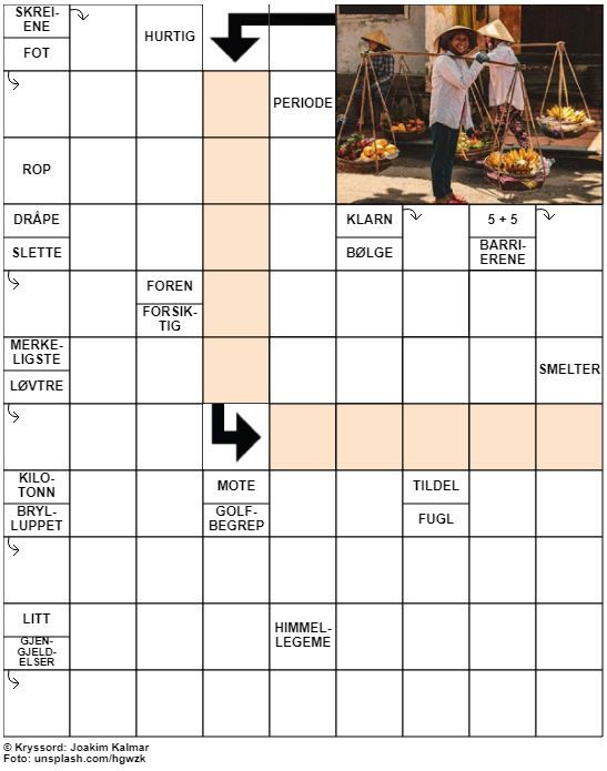 Dagens kryssord – 8. Mai - 2020
