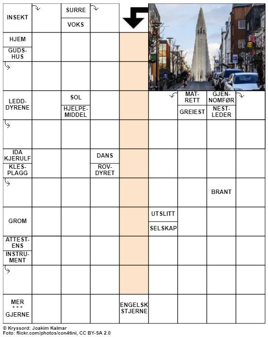 Dagens kryssord – 13. Mai - 2020