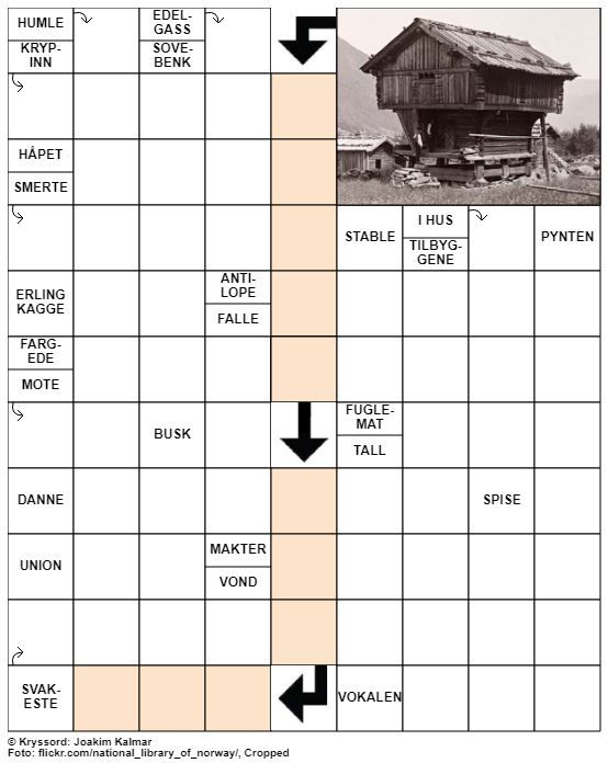 Dagens kryssord – 27. Mai - 2020