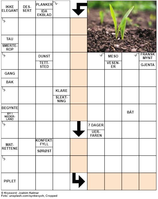 Dagens kryssord – 28. Mai - 2020