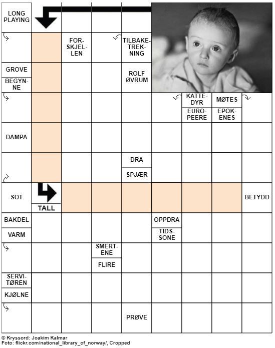 Dagens kryssord – 29. Mai - 2020