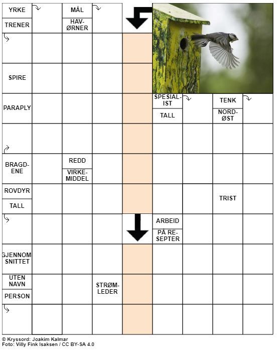 Dagens kryssord – 1. Juli - 2020