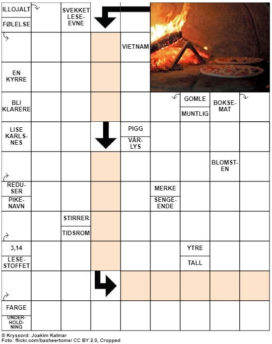 Dagens kryssord – 4. Juni- 2020