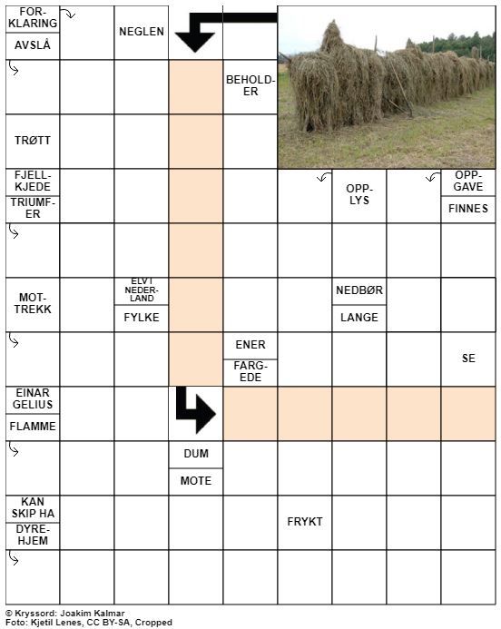 Dagens kryssord – 7. Juni- 2020