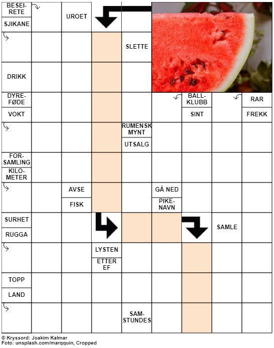 Dagens kryssord – 8. Juni- 2020