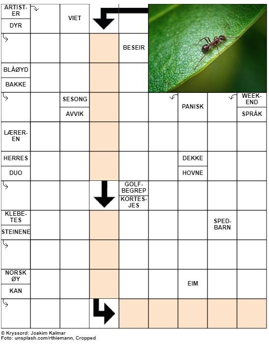 Dagens kryssord – 10. Juni- 2020