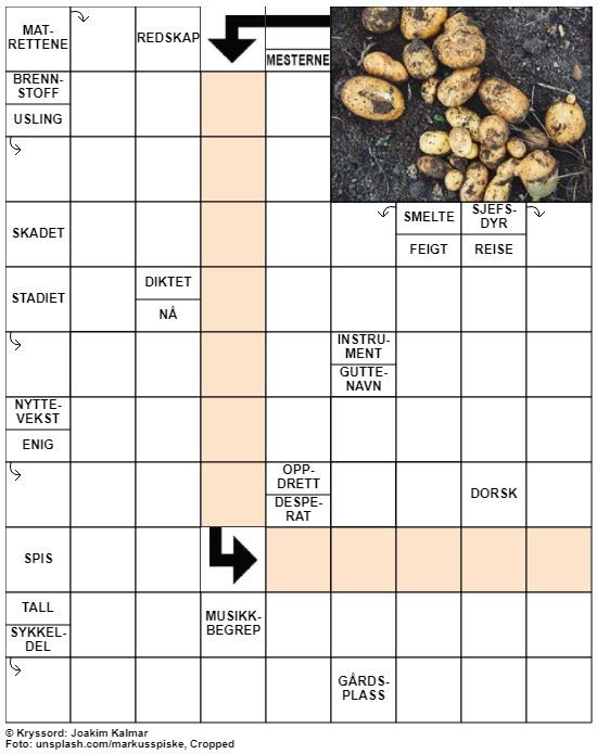 Dagens kryssord – 13. Juni- 2020