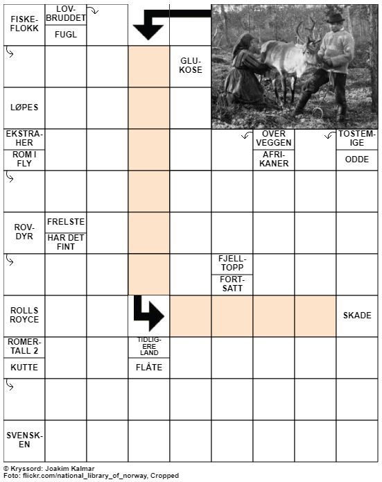 Dagens kryssord – 18. Juni- 2020