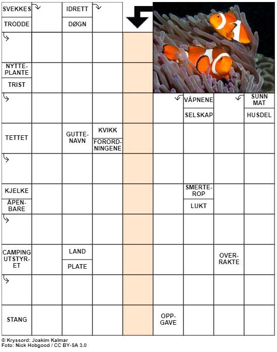 Dagens kryssord – 13. Juli - 2020
