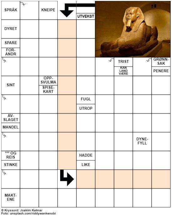 Dagens kryssord – 2. August - 2020