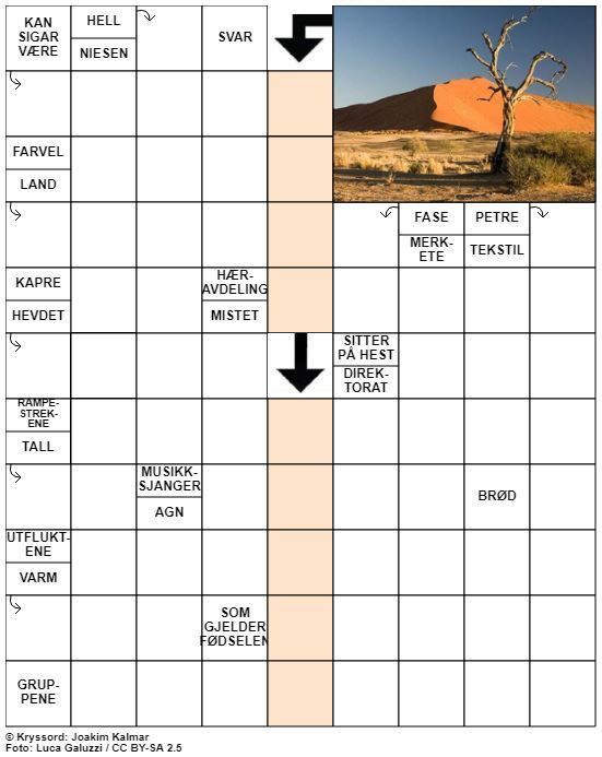 Dagens kryssord – 8. Juli - 2020