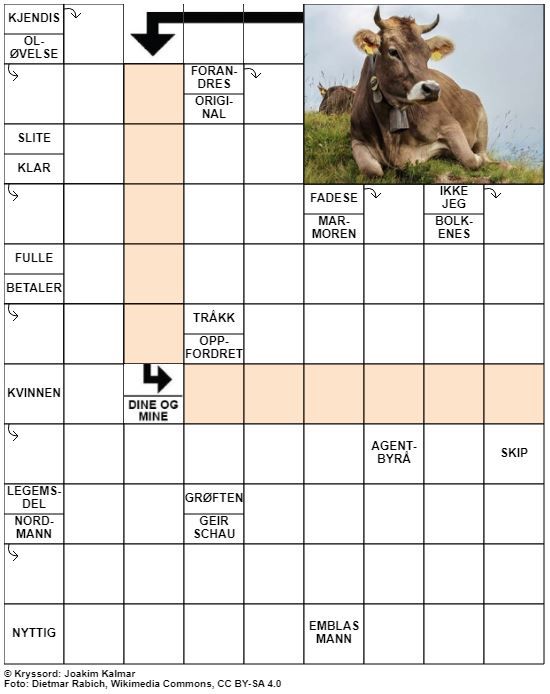 Dagens kryssord – 9. Juli - 2020