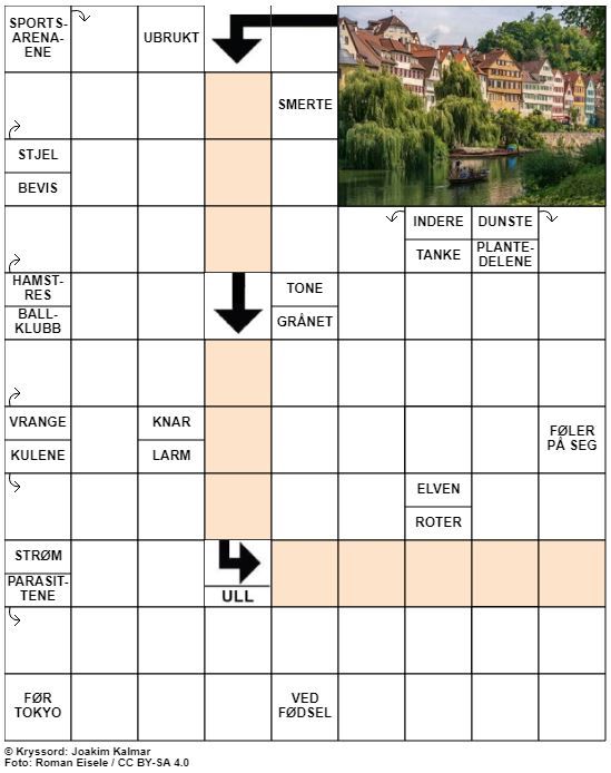Dagens kryssord – 10. Juli - 2020