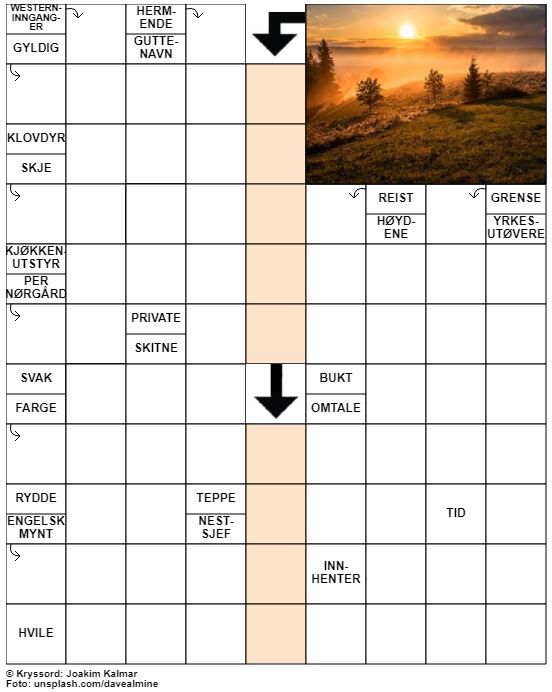 Dagens kryssord – 20. Juli - 2020