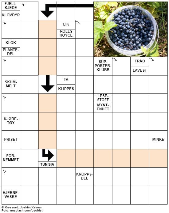 Dagens kryssord – 23. Juli - 2020