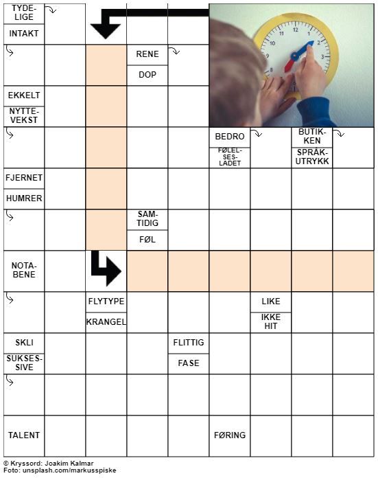 Dagens kryssord – 28. Juli - 2020