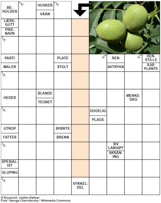 Dagens kryssord – 3. August - 2020
