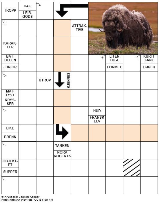 Dagens kryssord – 9. August - 2020