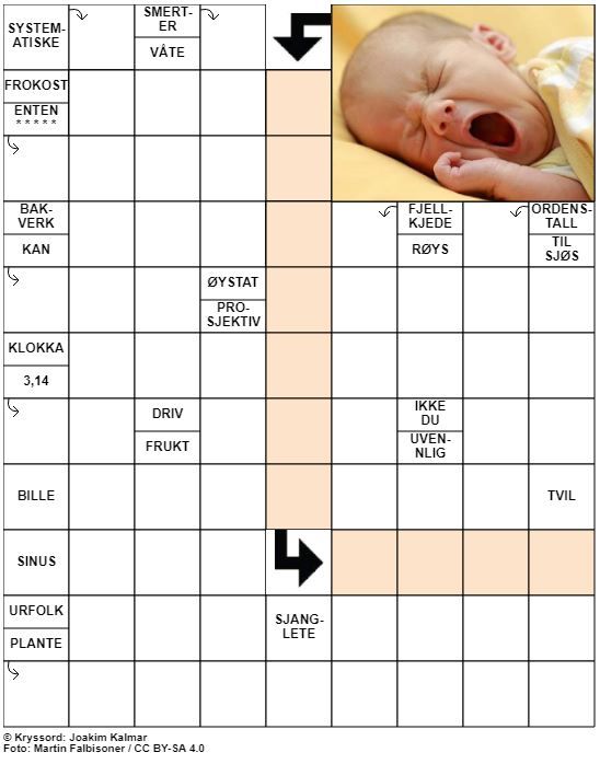 Dagens kryssord – 11. August - 2020