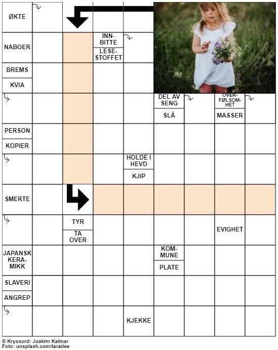 Dagens kryssord – 19. August - 2020