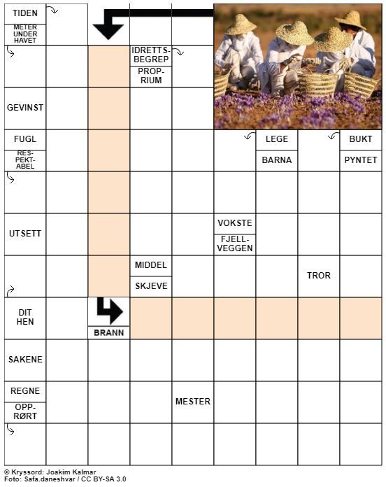 Dagens kryssord – 21. August - 2020