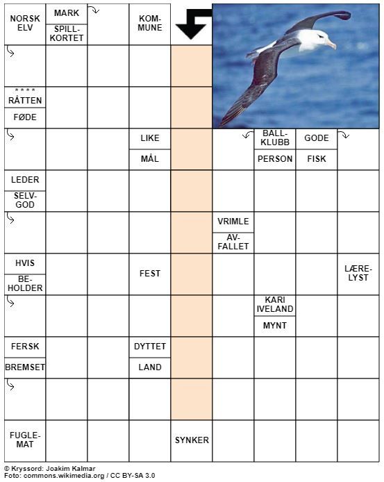 Dagens kryssord – 31. August - 2020