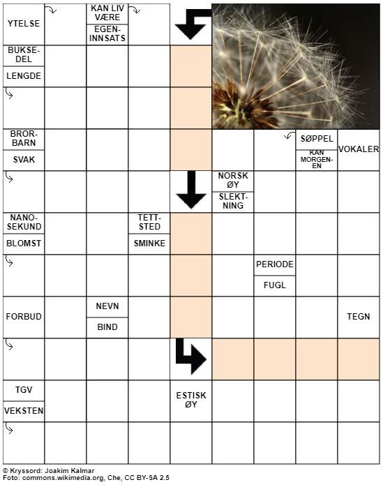 Dagens kryssord – 7. September - 2020
