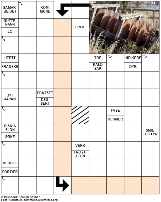 Dagens kryssord – 24. September - 2020