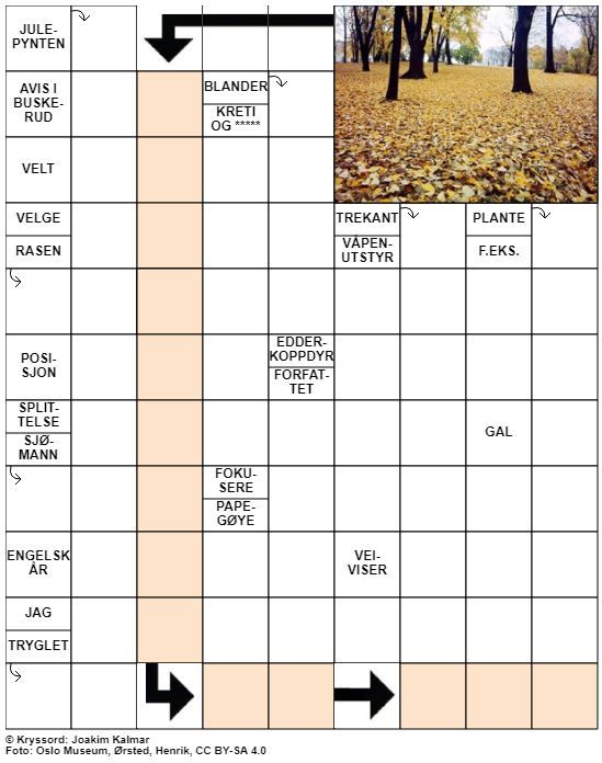 Dagens kryssord – 15. Oktober- 2020