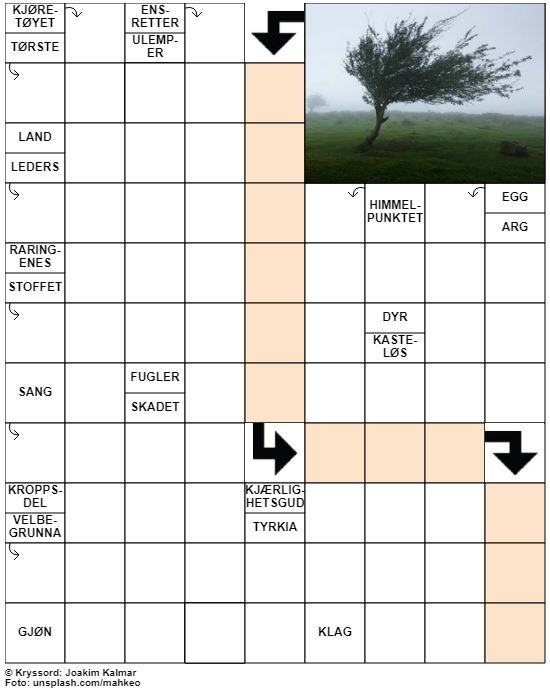 Dagens kryssord – 21. Oktober- 2020