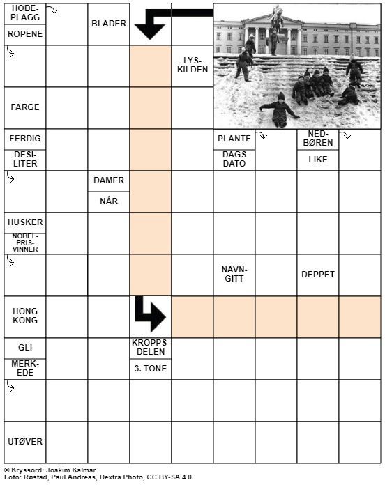 Dagens kryssord – 28. Oktober - 2020