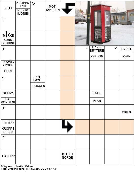 Dagens kryssord – 30. Oktober - 2020