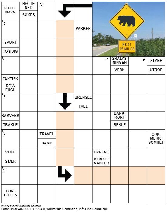 Dagens kryssord – 3. November- 2020