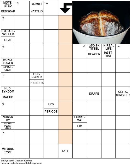 Dagens kryssord – 4. November- 2020