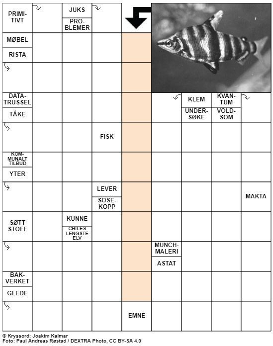 Dagens kryssord – 6. November- 2020