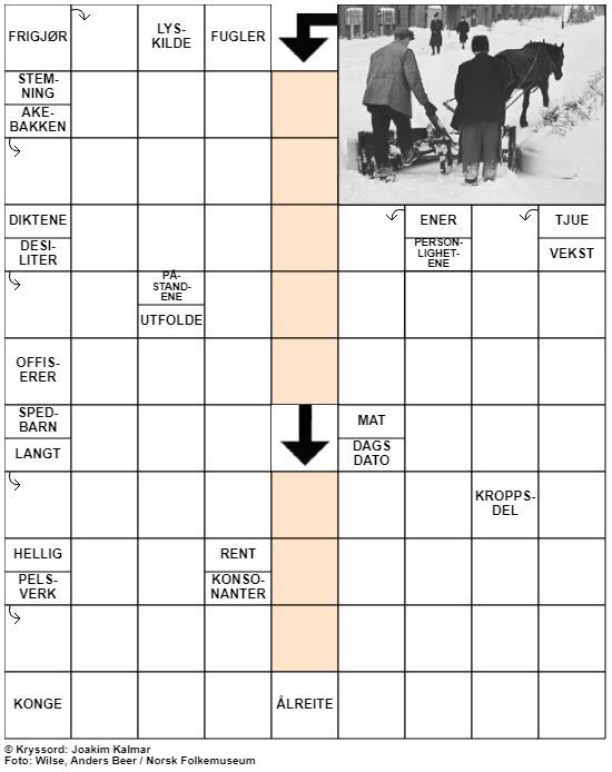 Dagens kryssord – 8. November- 2020