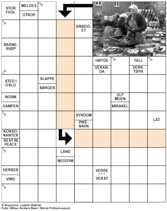 Dagens kryssord – 9. November- 2020